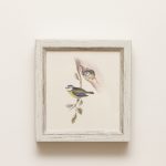 Kék cinegék rusztikus keretben 