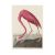 Flamingó print