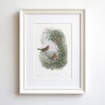 Vörösbegy print