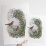Vörösbegy print
