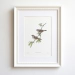 Mezei veréb print