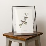 Mezei veréb print