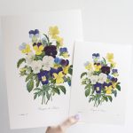 Árvácskacsokor print